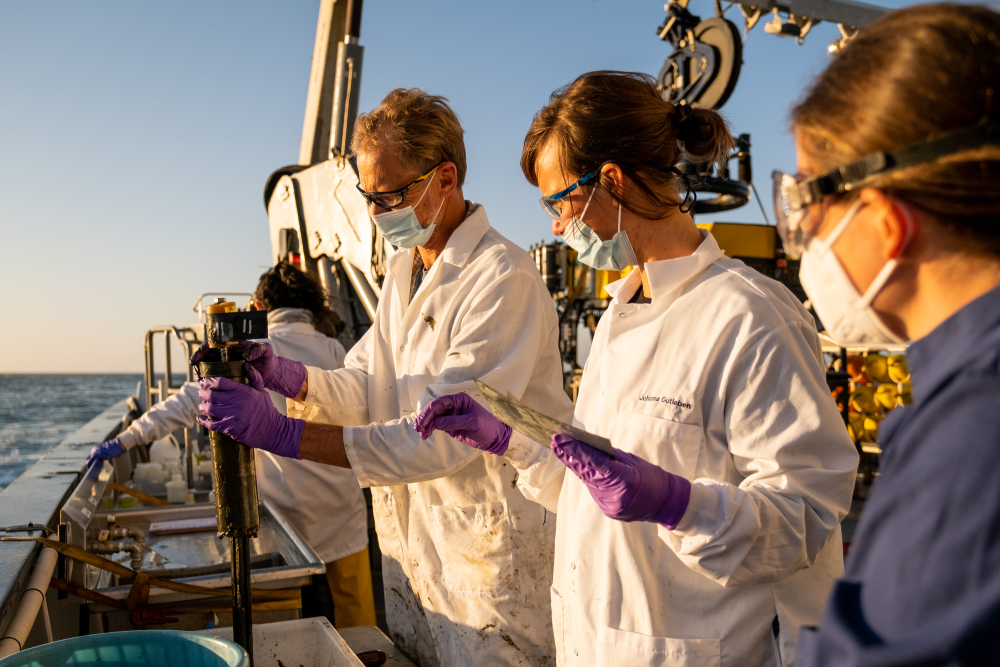 scientists test sediment samples from mysterious halos around barrels dumped of los angeles coast